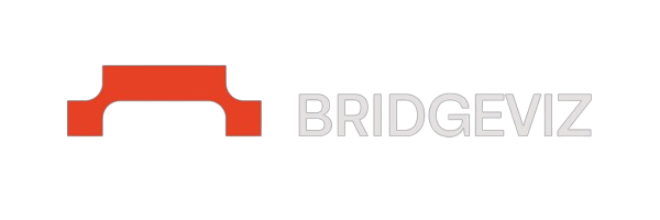 Logo bridgeviz